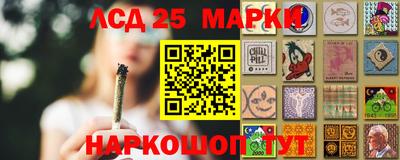 крисы Заводоуковск
