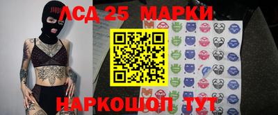 шишки Заволжье