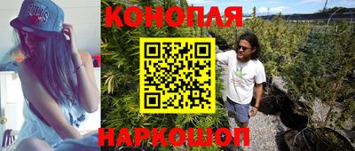 шишки Заволжье