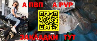 шишки Заволжье