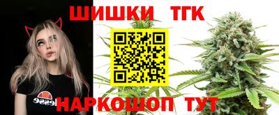 гашик Жуковский
