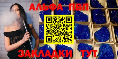 шишки Заволжье