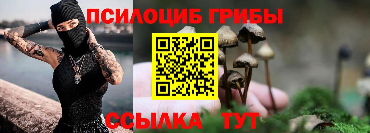 Урай  сколько стоит  Вход с VPN  Псилоцибиновые грибы Cubensis 